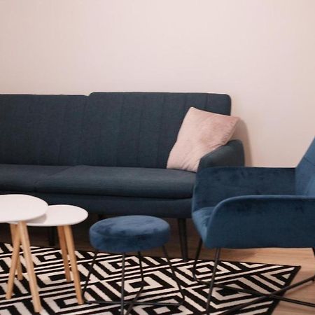 Owl'S Nest Apartment كلوج-نابوكا المظهر الخارجي الصورة